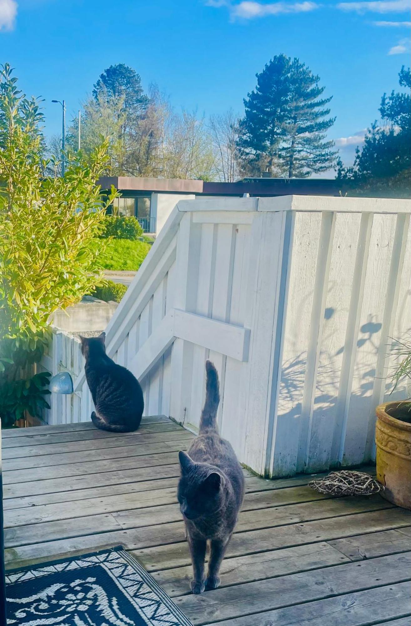 Cool Familyhome Close To The Beach W Two Cuddly Cats Espergærde Exterior foto